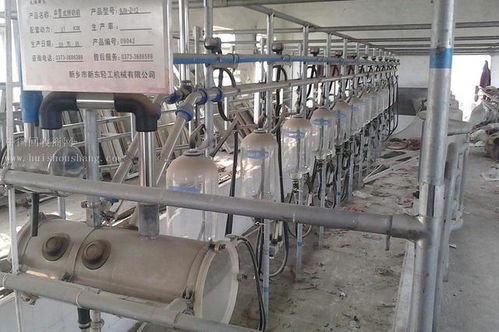 佛山實體轉型陣痛 店鋪工廠轉讓潮下的技術突圍